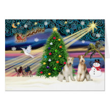 Xmas Magic-Wire Fox Terrier PAIR Greeting Cards
