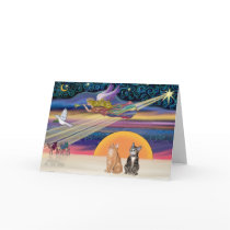 Xmas Star - Brown and Orange Tabby cats (two) Greeting Card