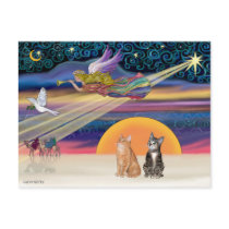 Xmas Star - Brown and Orange Tabby cats (two) Post Card