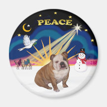 Xmas Sunrise (R) - English Bulldog 1 Refrigerator Magnet