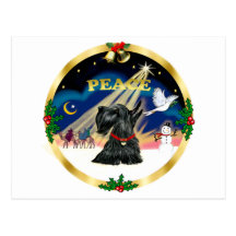 Xmas Sunrise (R) - Scottish Terrier Post Cards