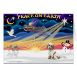 Xmas Sunrise - Tibetan Terrier (BrnW) Cards