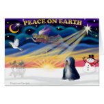 Xmas Sunrise - Tibetan Terrier (BW) Greeting Cards
