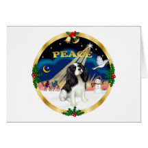 Xmas Sunrise - Tri Colour Cavalier King Charles Greeting Cards
