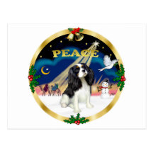 Xmas Sunrise - Tri Colour Cavalier King Charles Post Cards