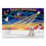 Xmas Sunrise - White Tibetan Terrier Cards