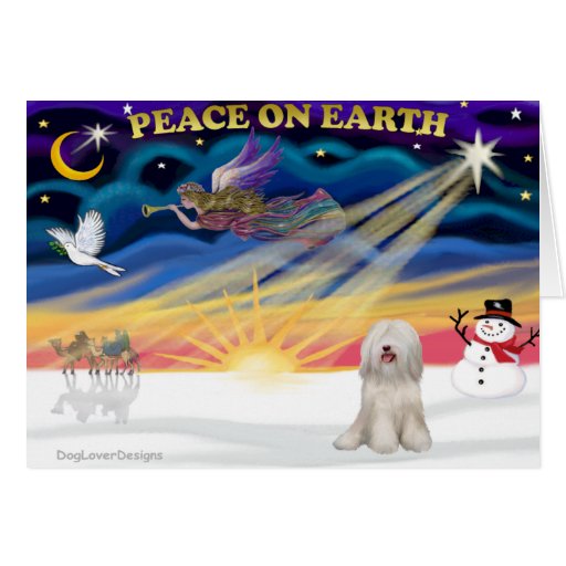 Xmas Sunrise - White Tibetan Terrier Cards