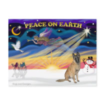 XmasSunrise-Belgian Malinois5 Post Cards