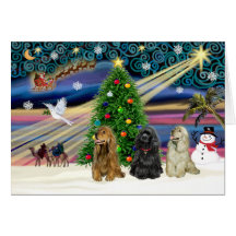 Xms Magic-3Cockers-blk-brwn-fawn Cards