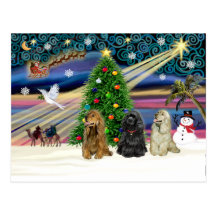 Xms Magic-3Cockers-blk-brwn-fawn Postcard