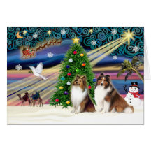 XmsMagic-Sheltie-SablePair Cards