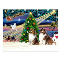 XmsMagic-Sheltie-SablePair Carte Postale