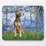 Xoloitzcuintle (Xolo) - Lilies 6 Mouse Mats