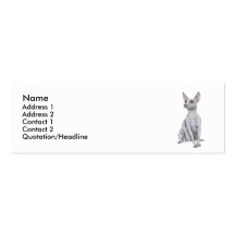 Xoloitzcuintli Cartes De Visite Professionnelles