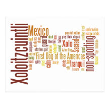Xoloitzcuintli Postcard