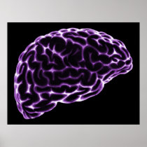 XRAY BRAIN SIDE VIEW PURPLE