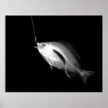 XRAY HOOK FISH BLACK WHITE