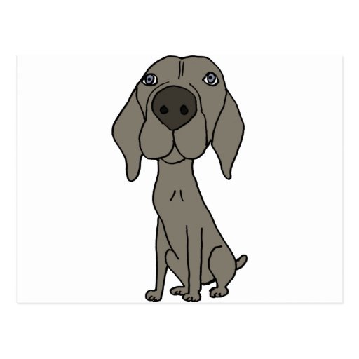 XX- Cute Weimaraner Design Post Card