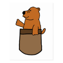 XX- Funny Brown Bear in a Pocket Cartoon Postcard