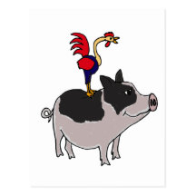 XX- Rooster on a Pot Bellied Pig Cartoon Post Cards