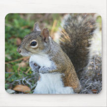 Ya Got Any Food? Mouse Pad