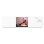 YAK 55 AEROBATIC BUMPER STICKERS
