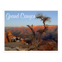 Yaki Point, Grand Canyon Arizona Postcard
