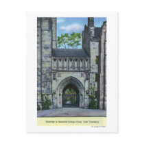 Yale University Gateway Postcard
