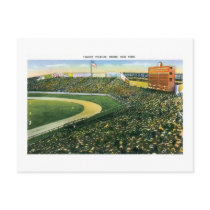 Yankee Stadium, NY Postcard