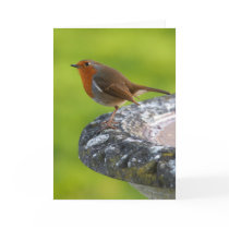 Yard Boss Greeting Card