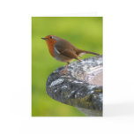 Yard Boss Greeting Card