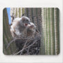 Yawning Baby Owls Mouse Mat