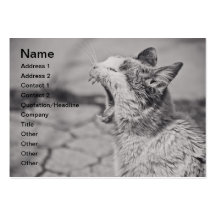 Yawning cat business cards