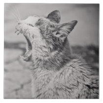 Yawning cat tiles