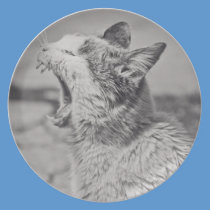 Yawning cat plates