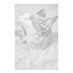 Yawning cat stationery paper