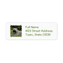 Yawning Chow Chow Mailing Label