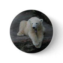 Yawning Polar bear cub Pinback Button