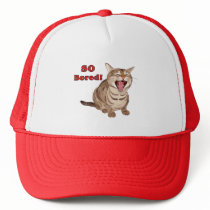 Yawning Tabby Cat So Bored