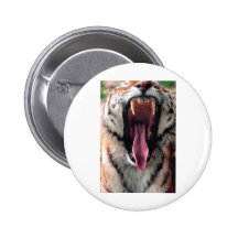 Yawning tiger 2 buttons