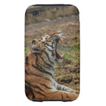 Yawning Tiger iPhone 3G/3GS Case Tough iPhone 3 Cover