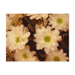 Ye olde time flowers postcard