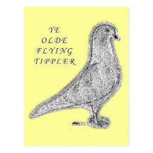 Ye Olde Tippler Post Card
