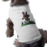 Year of the rabbit, Chinese New Year Dog Clothes