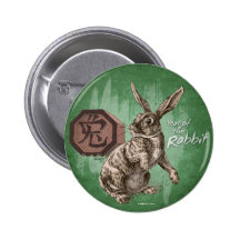 Year of the Rabbit Chinese Zodiac Astrology Pinback Button