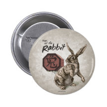 Year of the Rabbit Chinese Zodiac Astrology Pins