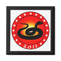 Year of the Snake 2013 Refrigerator Magnet