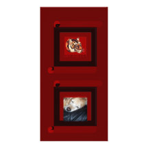 Year of the tiger 2010 photo card