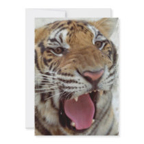 Year of Tiger Invitation