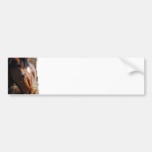 Yearling  Bumper Stickers